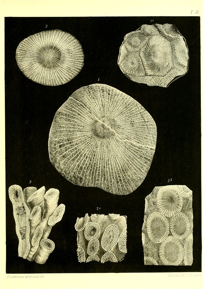 n562_w1150
