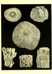 n562_w1150
