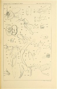 n158_w1150