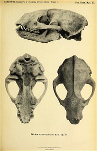 n190_w1150