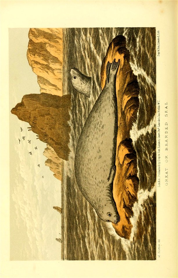 n517_w1150