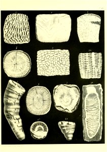 n554_w1150