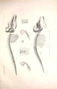 n116_w1150