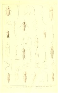 n546_w1150