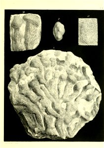 n668_w1150