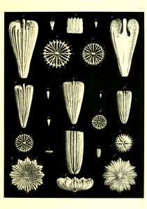 n178_w1150