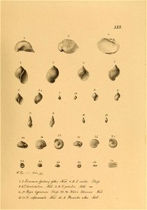 n594_w1150