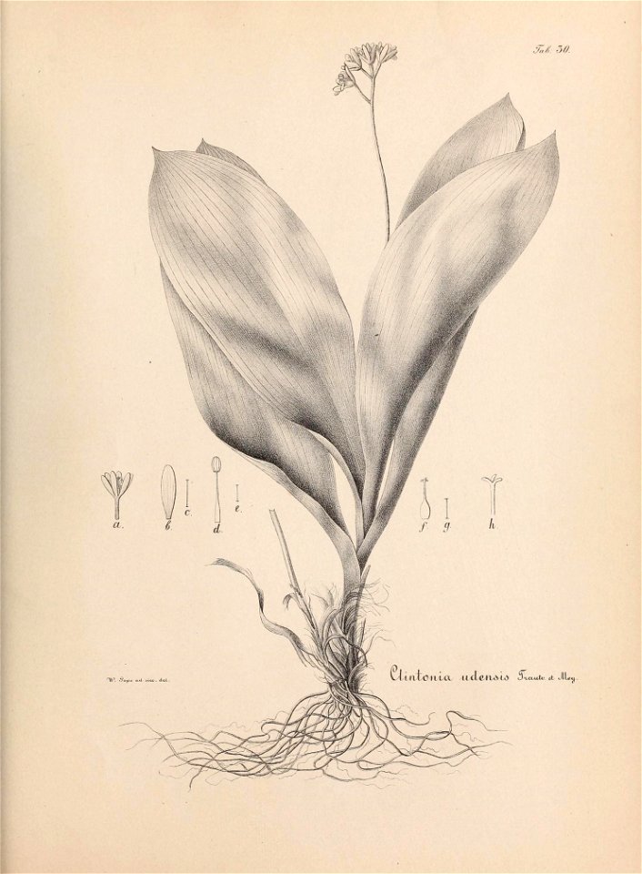 n652_w1150