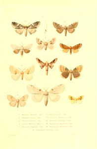 n456_w1150