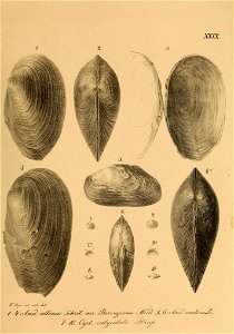 n592_w1150