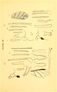 n116_w1150