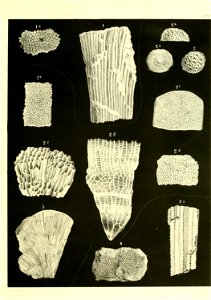 n656_w1150
