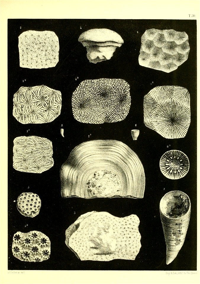 n362_w1150