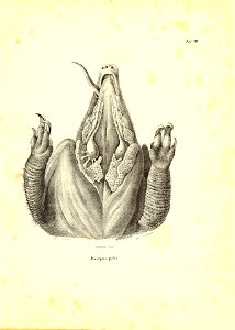 n138_w1150