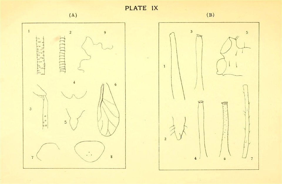 n156_w1150
