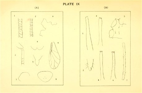 n156_w1150