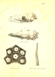 n136_w1150
