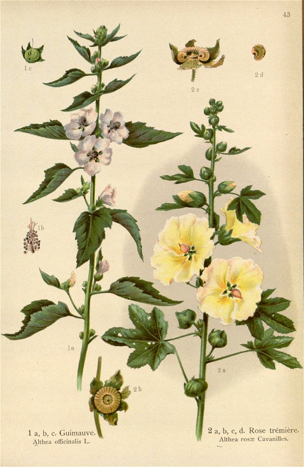 n163_w1150