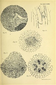 n568_w1150