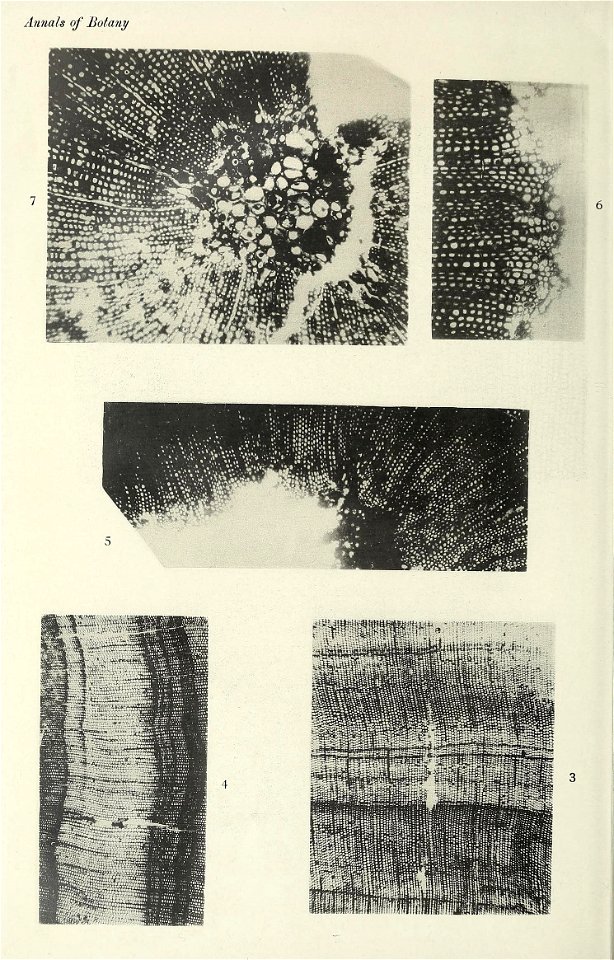 n497_w1150