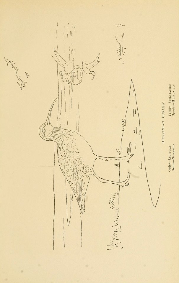 n56_w1150