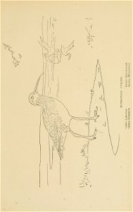 n56_w1150