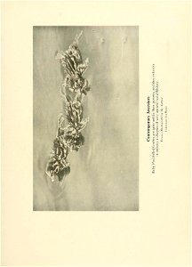 n714_w1150