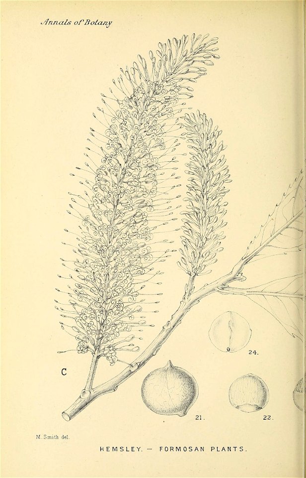 n213_w1150