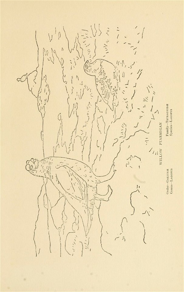 n42_w1150