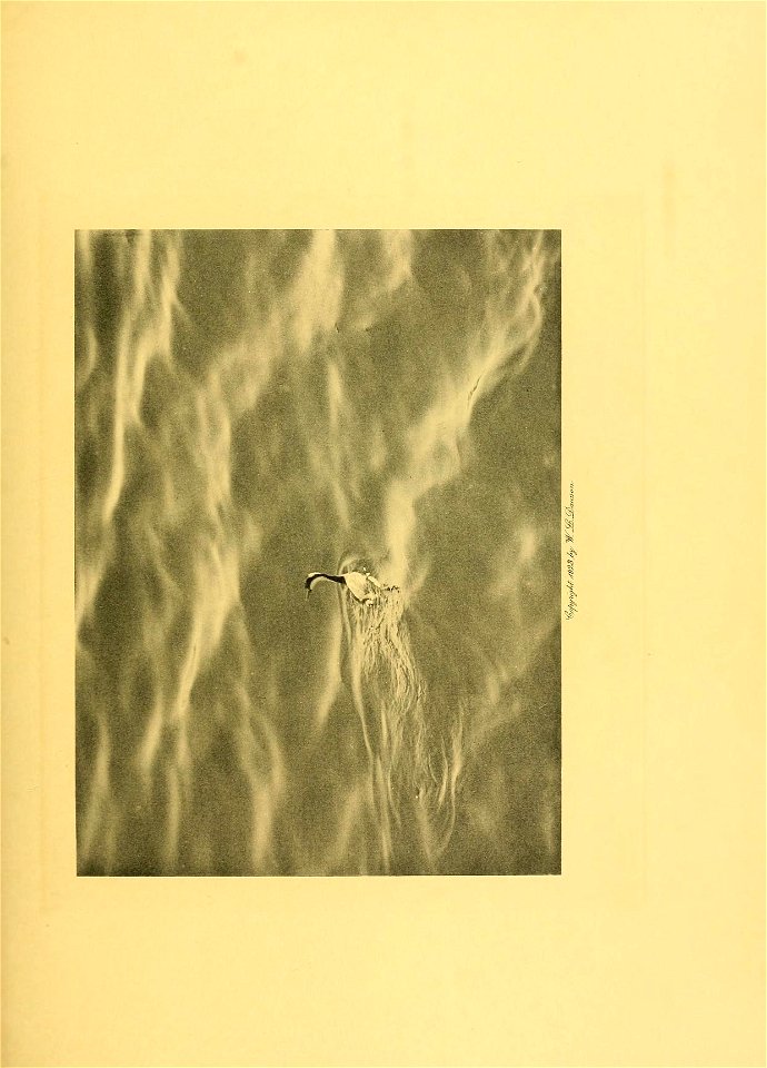 n690_w1150