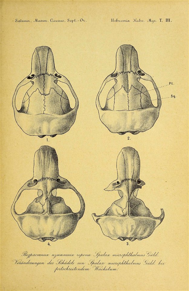 n498_w1150