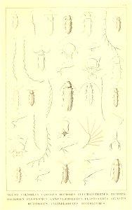 n554_w1150