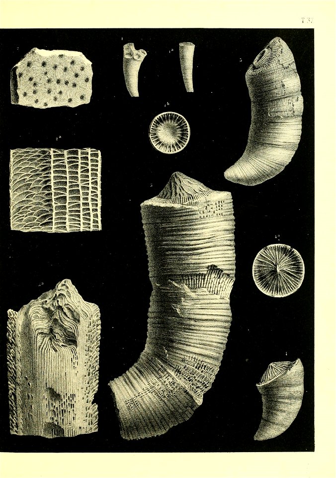 n456_w1150