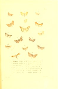 n436_w1150