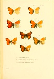 n636_w1150