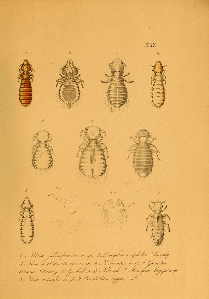 n596_w1150