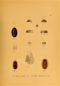 n566_w1150