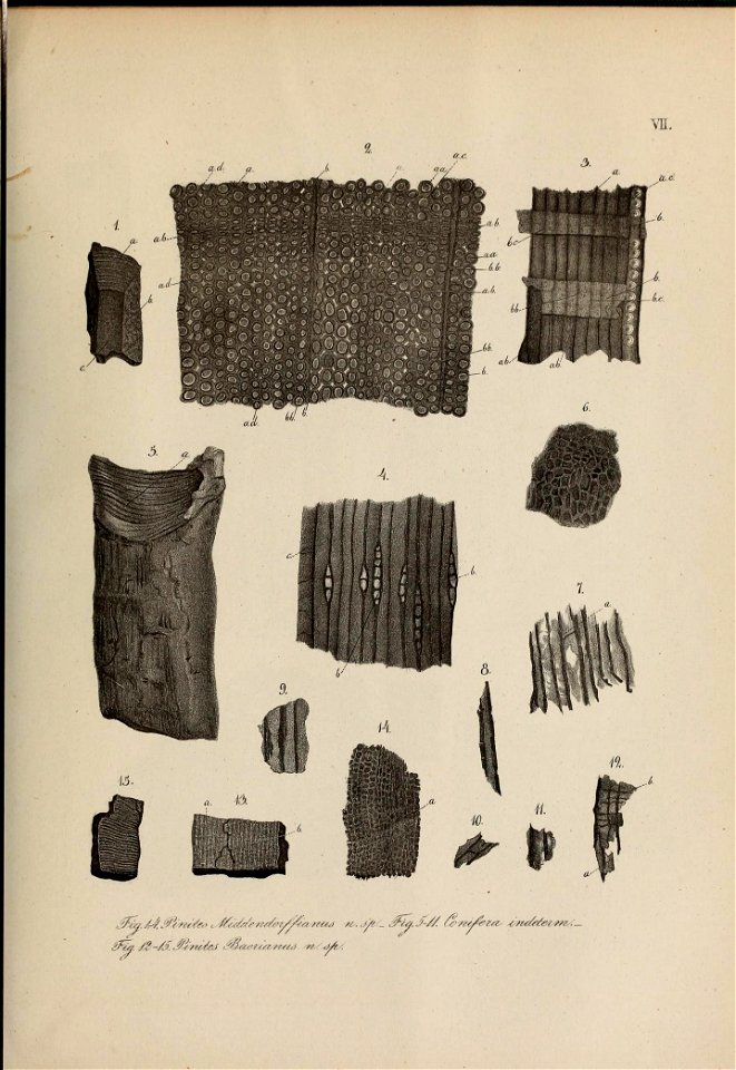 n362_w1150