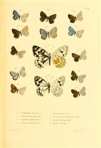 n626_w1150