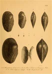 n590_w1150