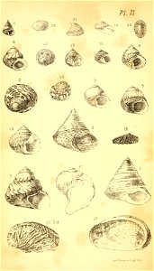 n309_w1150