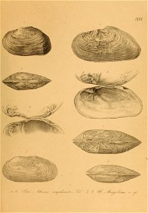 n588_w1150