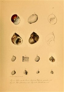 n558_w1150
