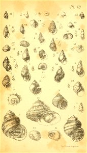 n306_w1150