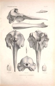 n68_w1150