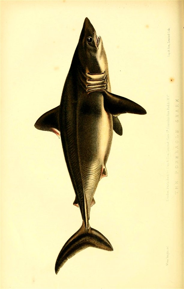 n673_w1150