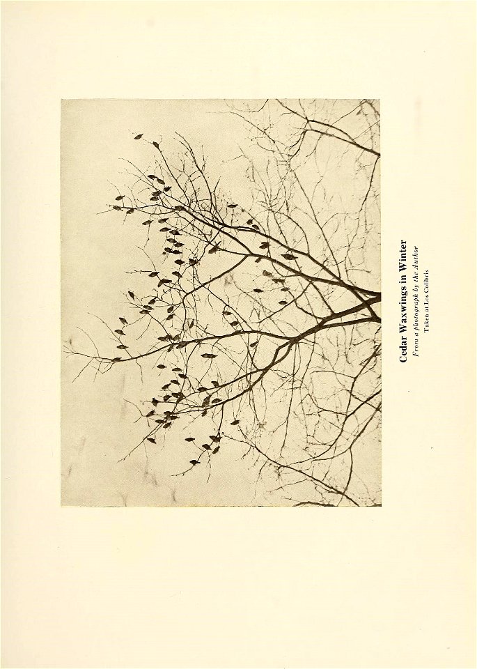 n68_w1150