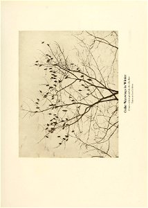 n68_w1150
