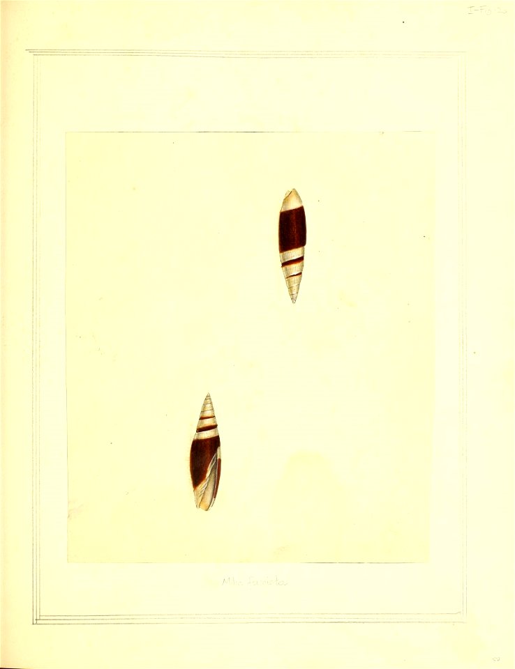 n126_w1150