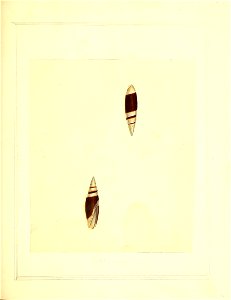 n126_w1150
